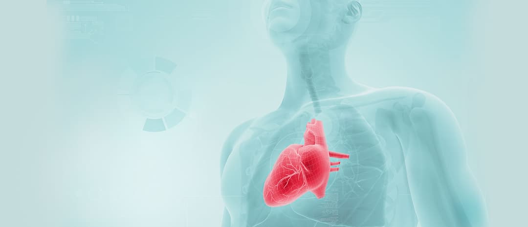 Cardiovascular Range
