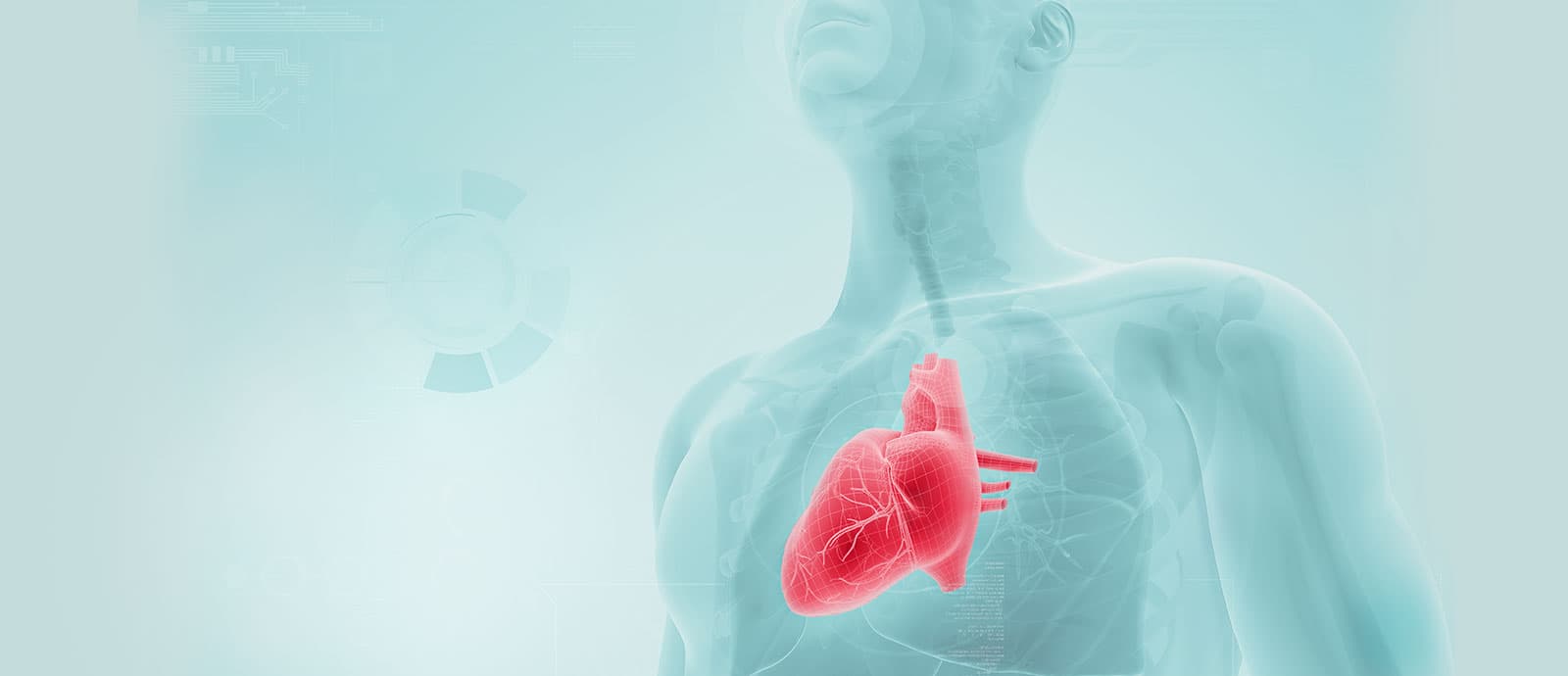 Cardiovascular Range