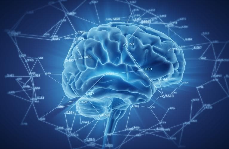 Neuroscience